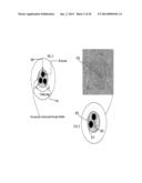 DEVICE AND METHOD TO REDUCE EAR WAX CLOGGING OF ACOUSTIC PORTS, HEARING     AID SEALING SYTEM, AND FEEDBACK REDUCTION SYSTEM diagram and image