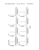 RGD MIMETIC y-AAPEPTIDES AND METHODS OF USE diagram and image