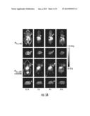 RGD MIMETIC y-AAPEPTIDES AND METHODS OF USE diagram and image