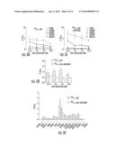 RGD MIMETIC y-AAPEPTIDES AND METHODS OF USE diagram and image