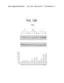 METHODS FOR TREATING OR PREVENTING CHOLESTEROL RELATED DISORDERS diagram and image