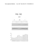 METHODS FOR TREATING OR PREVENTING CHOLESTEROL RELATED DISORDERS diagram and image