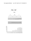 METHODS FOR TREATING OR PREVENTING CHOLESTEROL RELATED DISORDERS diagram and image