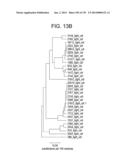 METHODS FOR TREATING OR PREVENTING CHOLESTEROL RELATED DISORDERS diagram and image