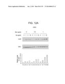 METHODS FOR TREATING OR PREVENTING CHOLESTEROL RELATED DISORDERS diagram and image