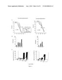 PHOSPHORYLATED DERIVATIVES OF A U1-70K PEPTIDE AND THEIR USE IN THE     TREATMENT OF AUTOIMMUNE PATHOLOGIES diagram and image