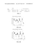 DETOXIFIED PNEUMOCOCCAL NEURAMINIDASE AND USES THEREOF diagram and image