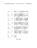 DETOXIFIED PNEUMOCOCCAL NEURAMINIDASE AND USES THEREOF diagram and image