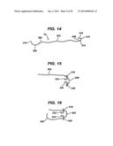 LOCAL VASCULAR DELIVERY OF TRICHOSTATIN A ALONE OR IN COMBINATION WITH     SIROLIMUS TO PREVENT RESTENOSIS FOLLOWING VASCULAR INJURY diagram and image