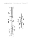 LOCAL VASCULAR DELIVERY OF TRICHOSTATIN A ALONE OR IN COMBINATION WITH     SIROLIMUS TO PREVENT RESTENOSIS FOLLOWING VASCULAR INJURY diagram and image