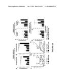 COMPOSITIONS AND METHODS FOR TREATING AND PREVENTING PORCINE REPRODUCTIVE     AND RESPIRATORY SYNDROME diagram and image