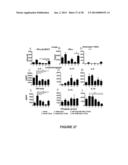 COMPOSITIONS AND METHODS FOR TREATING AND PREVENTING PORCINE REPRODUCTIVE     AND RESPIRATORY SYNDROME diagram and image