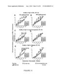 COMPOSITIONS AND METHODS FOR TREATING AND PREVENTING PORCINE REPRODUCTIVE     AND RESPIRATORY SYNDROME diagram and image