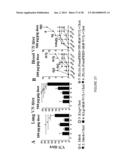 COMPOSITIONS AND METHODS FOR TREATING AND PREVENTING PORCINE REPRODUCTIVE     AND RESPIRATORY SYNDROME diagram and image