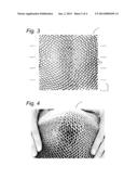 CELLULAR STRUCTURE FOR DOUBLE CURVATURE PANEL diagram and image