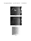 TRANSPARENT MATERIAL PROCESSING WITH AN ULTRASHORT PULSE LASER diagram and image