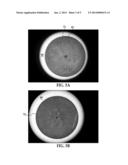 ELECTROCATALYST ROTATING DISK ELECTRODE PREPARATION APPARATUS diagram and image