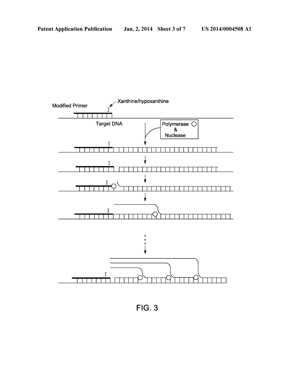 METHOD FOR ISOTHERMAL DNA AMPLIFICATION STARTING FROM AN RNA TEMPLATE - diagram, schematic, and image 04