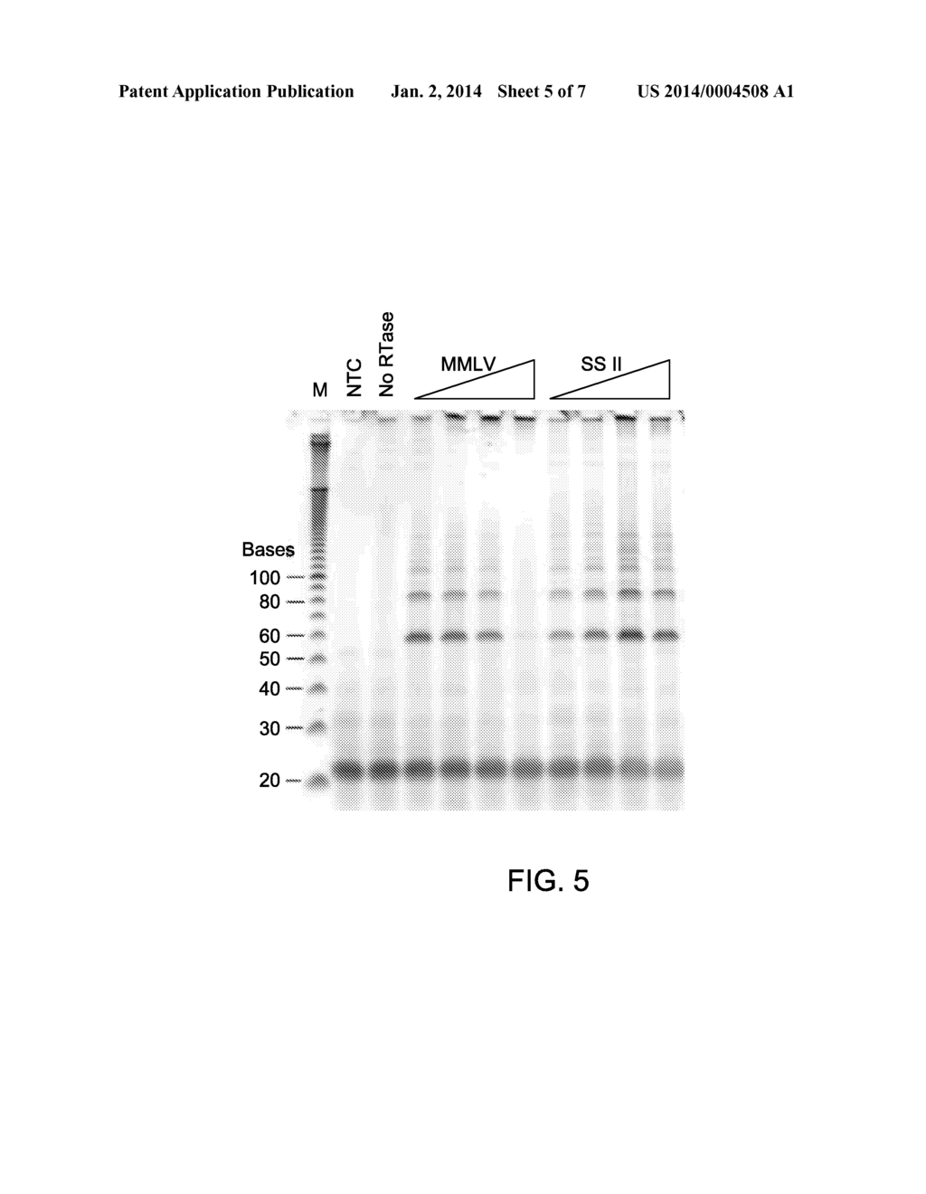 METHOD FOR ISOTHERMAL DNA AMPLIFICATION STARTING FROM AN RNA TEMPLATE - diagram, schematic, and image 06