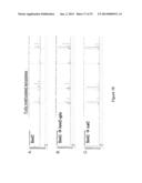 IDENTIFICATION OF 5-METHYL-C IN NUCLEIC ACID TEMPLATES diagram and image