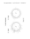 IDENTIFICATION OF 5-METHYL-C IN NUCLEIC ACID TEMPLATES diagram and image