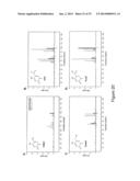 IDENTIFICATION OF 5-METHYL-C IN NUCLEIC ACID TEMPLATES diagram and image