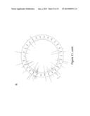 IDENTIFICATION OF 5-METHYL-C IN NUCLEIC ACID TEMPLATES diagram and image