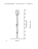 IDENTIFICATION OF 5-METHYL-C IN NUCLEIC ACID TEMPLATES diagram and image