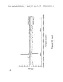 IDENTIFICATION OF 5-METHYL-C IN NUCLEIC ACID TEMPLATES diagram and image