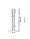 IDENTIFICATION OF 5-METHYL-C IN NUCLEIC ACID TEMPLATES diagram and image