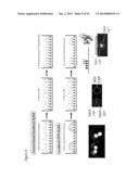 SYSTEMS AND METHODS FOR MULTIPLEX SOLUTION ASSAYS diagram and image