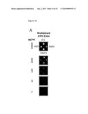 SYSTEMS AND METHODS FOR MULTIPLEX SOLUTION ASSAYS diagram and image