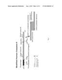 METHOD FOR THE DETERMINATION OF BOTULINUM NEUROTOXIN BIOLOGICAL ACTIVITY diagram and image