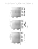 METHOD FOR THE DETERMINATION OF BOTULINUM NEUROTOXIN BIOLOGICAL ACTIVITY diagram and image