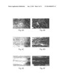 ENGINEERED CELL GROWTH ON POLYMERIC FILMS AND BIOTECHNOLOGICAL APPLICATION     THEREOF diagram and image