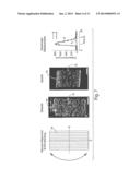 ENGINEERED CELL GROWTH ON POLYMERIC FILMS AND BIOTECHNOLOGICAL APPLICATION     THEREOF diagram and image