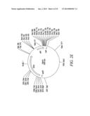 RECOMBINATIONAL CLONING USING NUCLEIC ACIDS HAVING RECOMBINATION SITES diagram and image