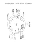 RECOMBINATIONAL CLONING USING NUCLEIC ACIDS HAVING RECOMBINATION SITES diagram and image