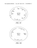 RECOMBINATIONAL CLONING USING NUCLEIC ACIDS HAVING RECOMBINATION SITES diagram and image