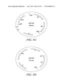 RECOMBINATIONAL CLONING USING NUCLEIC ACIDS HAVING RECOMBINATION SITES diagram and image