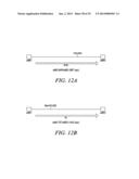 RECOMBINATIONAL CLONING USING NUCLEIC ACIDS HAVING RECOMBINATION SITES diagram and image