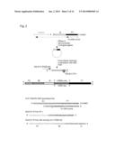 USE OF TEMPLATE SWITCHING FOR DNA SYNTHESIS diagram and image