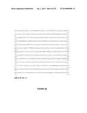 BETA-GLUCOSIDASE VARIANT ENZYMES AND RELATED POLYNUCLEOTIDES diagram and image