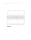 BETA-GLUCOSIDASE VARIANT ENZYMES AND RELATED POLYNUCLEOTIDES diagram and image