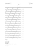 BETA-GLUCOSIDASE VARIANT ENZYMES AND RELATED POLYNUCLEOTIDES diagram and image