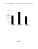 DinQ-sRNA TYPE I TOXIN-ANTITOXIN SYSTEM FOR PLASMID MAINTENANCE diagram and image