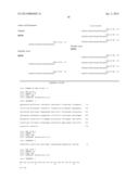 DinQ-sRNA TYPE I TOXIN-ANTITOXIN SYSTEM FOR PLASMID MAINTENANCE diagram and image