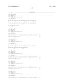 DinQ-sRNA TYPE I TOXIN-ANTITOXIN SYSTEM FOR PLASMID MAINTENANCE diagram and image