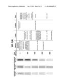 METHOD OF QUANTIFYING UV DISINFECTING DOSES USING INDICATORS diagram and image