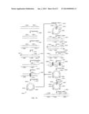 METHODS AND COMPOSITIONS FOR LONG FRAGMENT READ SEQUENCING diagram and image